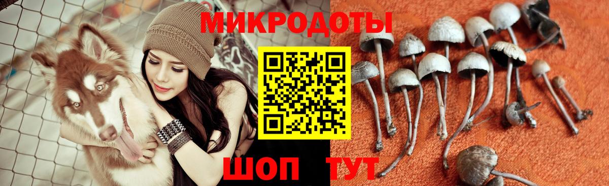 Ханты-Мансийск  Галлюциногенные грибы Magic Shrooms  Вход с VPN 